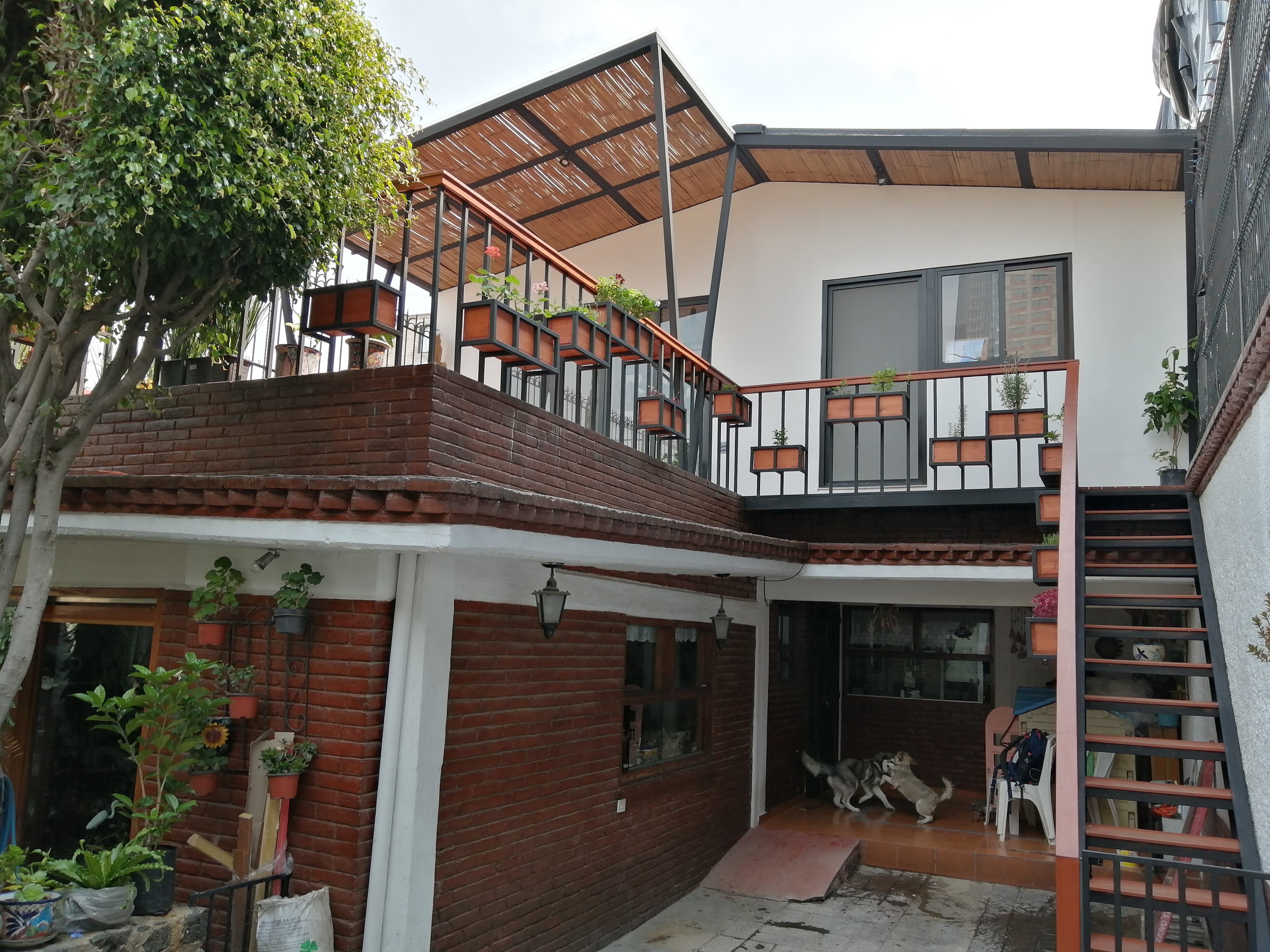 Ampliación Bertha